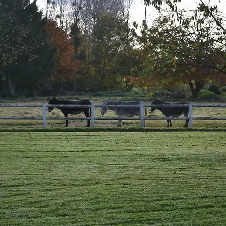 Le Clos Masure *