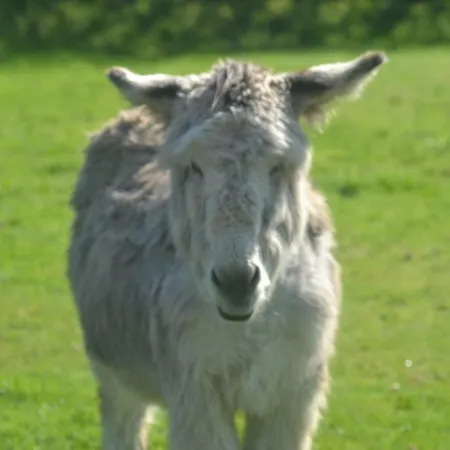 別荘 Le Clos Masure *