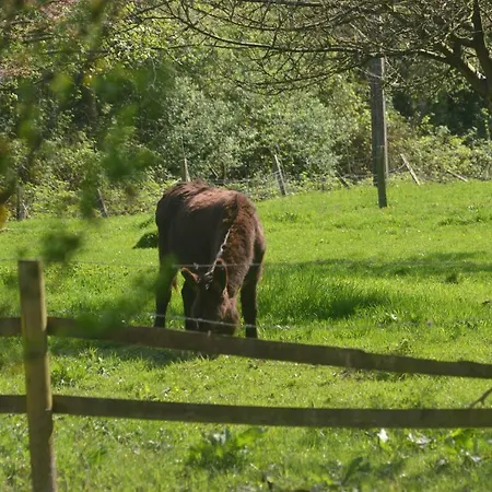 別荘 Le Clos Masure