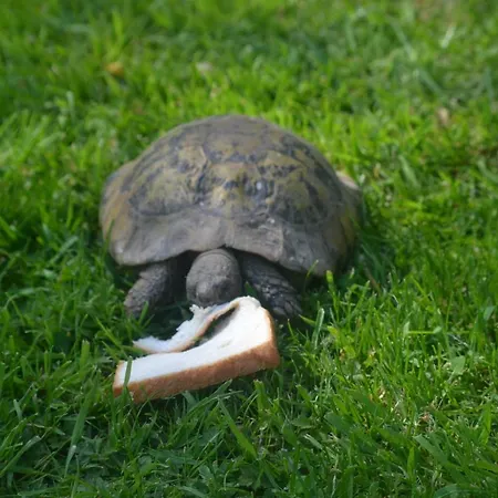 Hébergement de vacances Le Clos Masure *