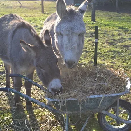 Le Clos Masure * Doudeville